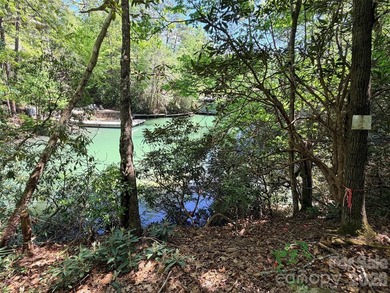 LAKE LURE'S BEST BUY! LAKEFRONT LOT.......3.64 acre lakefront - photo 4