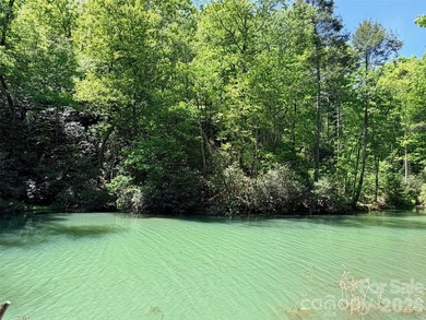 LAKE LURE'S BEST BUY! LAKEFRONT LOT.......3.64 acre lakefront - photo 5
