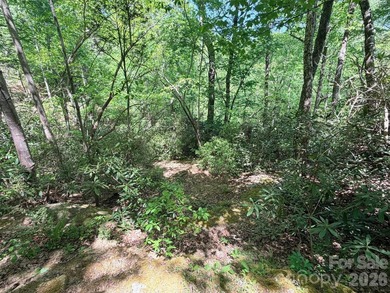 LAKE LURE'S BEST BUY! LAKEFRONT LOT.......3.64 acre lakefront - photo 6