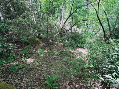 LAKE LURE'S BEST BUY! LAKEFRONT LOT.......3.64 acre lakefront - photo 8
