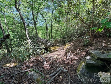 LAKE LURE'S BEST BUY! LAKEFRONT LOT.......3.64 acre lakefront - photo 9