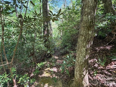 LAKE LURE'S BEST BUY! LAKEFRONT LOT.......3.64 acre lakefront - photo 10