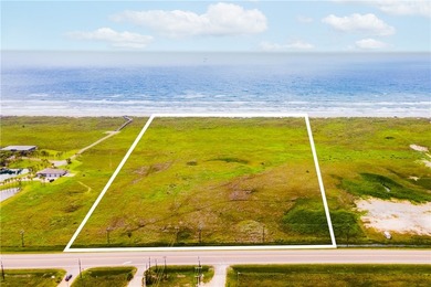 Pristine tract of beachfront land on Mustang Island. This is one - photo 1