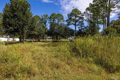 Nice high lot on the corner with a small creek/water stream on - photo 1