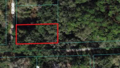 Black Sink Prairie Lake Lot For Sale in Citra Florida