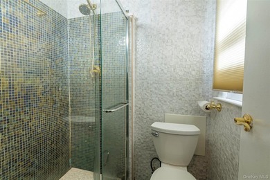 Welcome to this beautiful Hi-Ranch in Douglaston!! Features - photo 13