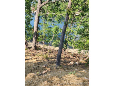 Lake Lot For Sale in Lake Ozark, Missouri