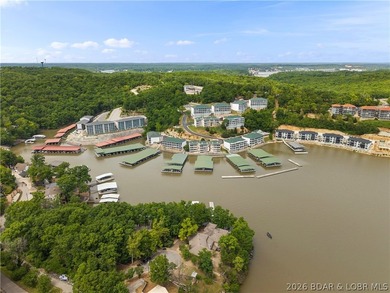 Experience elevated Lake of the Ozarks living in this furnished - photo 44