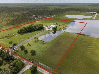 (private lake, pond, creek) Home For Sale in Punta Gorda Florida