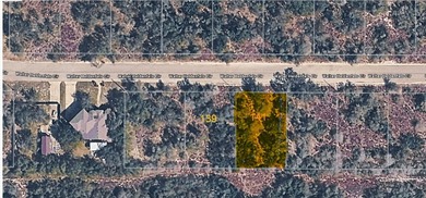 The perfect canvas for your dream home in Lamar Pointe Reserve! - photo 1