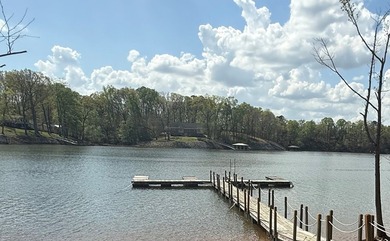 LAKE HOUSE- LIKE NEW -WITH DEEP WATER SHARED DOCK--MOVE-IN - photo 4