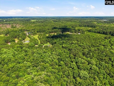 A hidden gem! This 19+ acres across two parcels sold as one! - photo 15