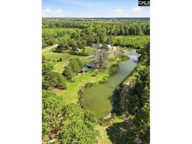 A hidden gem! This 19+ acres across two parcels sold as one! - photo 17