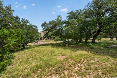 Experience a quieter side of Texas Hill Country living in the - photo 24