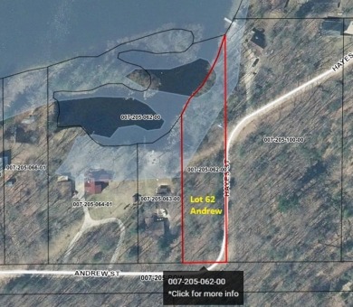 Lake Lot For Sale in Harrison, Michigan