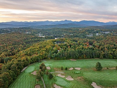 Set on 4.8 level acres w manicured lawns, this remarkable - photo 11