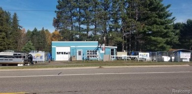 Ruth Lake Commercial For Sale in Michigamme Michigan