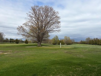 Enjoy Door County living in this wonderful 2-story unit - photo 30