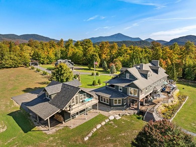 Set on 4.8 level acres w manicured lawns, this remarkable - photo 35