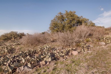 Stunning long range Hill Country views and views of Lake LBJ are - photo 3