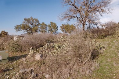 Stunning long range Hill Country views and views of Lake LBJ are - photo 4