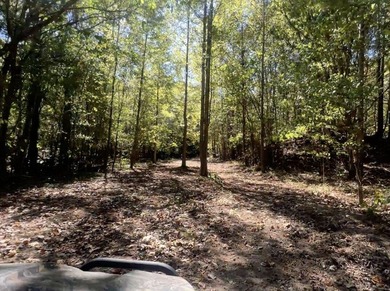 Welcome to the Tallahatchie 205! Located south of Charleston - photo 30