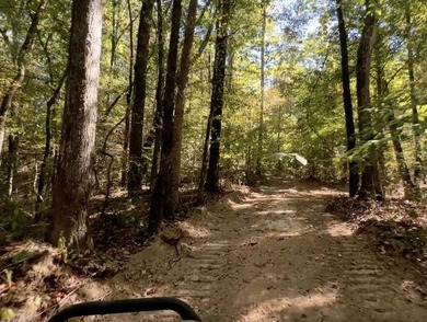 Welcome to the Tallahatchie 205! Located south of Charleston - photo 31