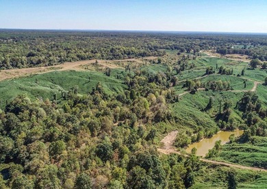 Welcome to the Tallahatchie 205! Located south of Charleston - photo 32