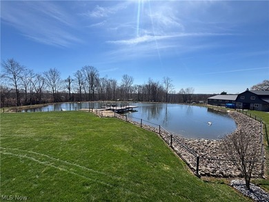 This beautiful, custom home is definitely one of a kind. Walk - photo 40