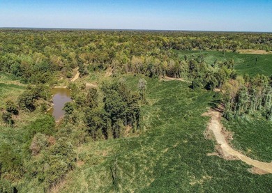 Welcome to the Tallahatchie 205! Located south of Charleston - photo 42