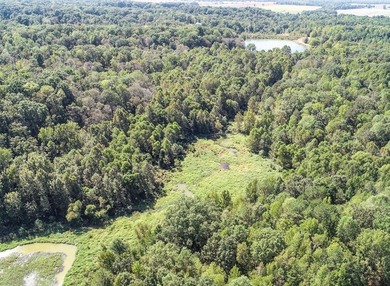Welcome to the Tallahatchie 205! Located south of Charleston - photo 46