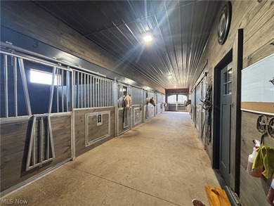 This beautiful, custom home is definitely one of a kind. Walk - photo 46