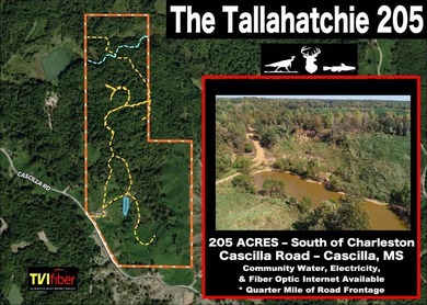 Welcome to the Tallahatchie 205! Located south of Charleston - photo 50