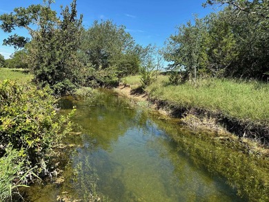 (private lake, pond, creek) Acreage For Sale in Bertram Texas