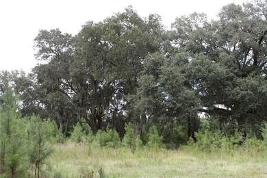Rare Coastal Development Opportunity with River Access - 2,975 - photo 11