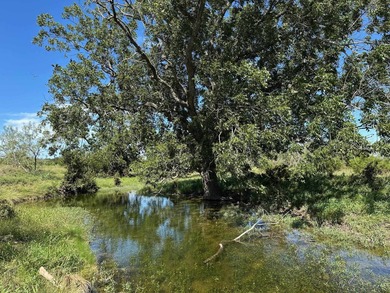 (private lake, pond, creek) Acreage For Sale in Bertram Texas
