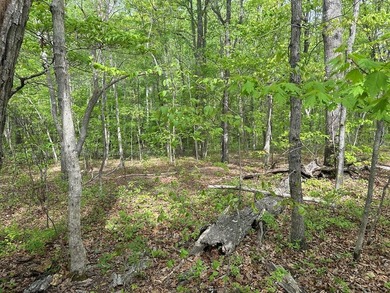 #73120-The Hideaway at Kerr Lake!! Over 1.6 acres of land tucked - photo 1