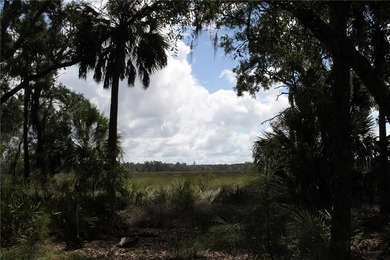 Rare Coastal Development Opportunity with River Access - 2,975 - photo 12