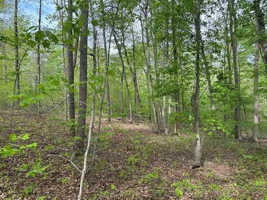 #73120-The Hideaway at Kerr Lake!! Over 1.6 acres of land tucked - photo 2