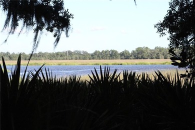 Rare Coastal Development Opportunity with River Access - 2,975 - photo 13