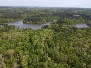 #73120-The Hideaway at Kerr Lake!! Over 1.6 acres of land tucked - photo 3