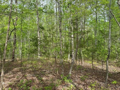 #73120-The Hideaway at Kerr Lake!! Over 1.6 acres of land tucked - photo 4