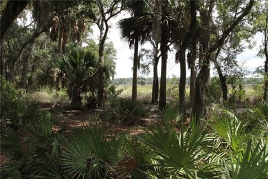 Rare Coastal Development Opportunity with River Access - 2,975 - photo 16