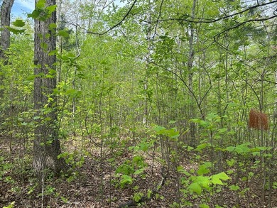 #73120-The Hideaway at Kerr Lake!! Over 1.6 acres of land tucked - photo 6