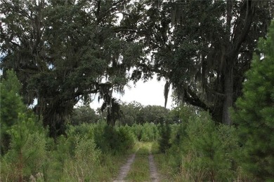 Rare Coastal Development Opportunity with River Access - 2,975 - photo 17