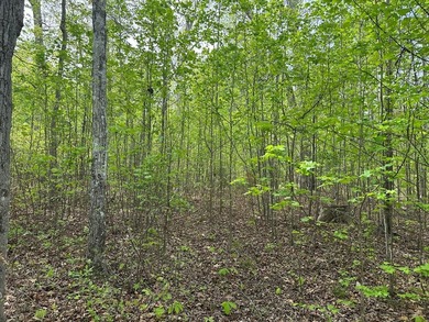 #73120-The Hideaway at Kerr Lake!! Over 1.6 acres of land tucked - photo 7