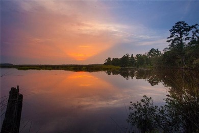 Rare Coastal Development Opportunity with River Access - 2,975 - photo 18