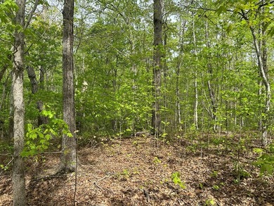 #73120-The Hideaway at Kerr Lake!! Over 1.6 acres of land tucked - photo 8