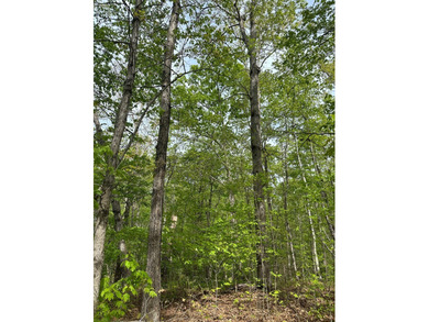 #73120-The Hideaway at Kerr Lake!! Over 1.6 acres of land tucked - photo 9