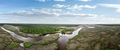 Rare Coastal Development Opportunity with River Access - 2,975 - photo 27